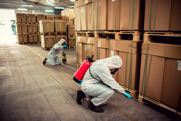 Best Pest Inspection Near Me  in Vineland, NJ