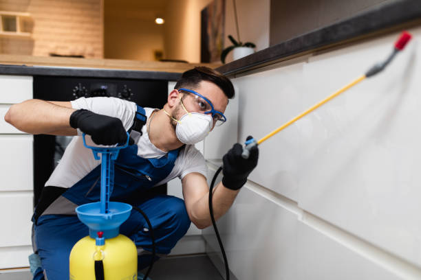 Trusted Vineland, NJ Pest Control Experts