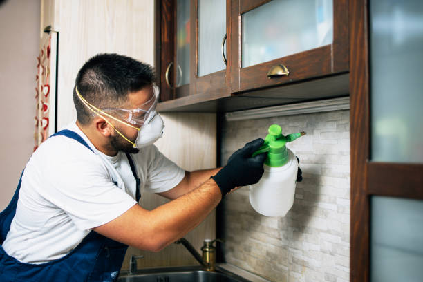 Best Pest Control Treatment  in Vineland, NJ