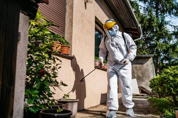 Best Affordable Pest Control Services  in Vineland, NJ
