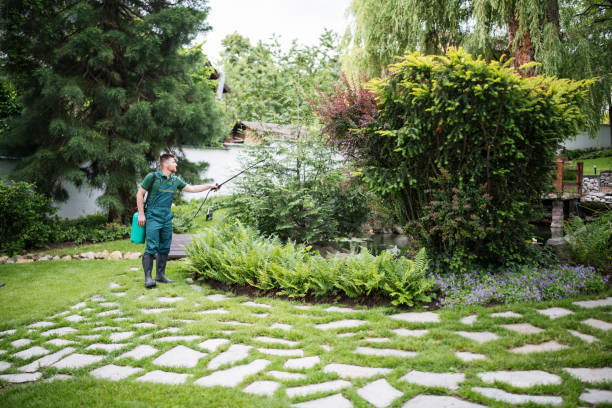 Best Wasp Removal Services  in Vineland, NJ