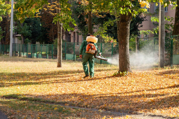 Best Residential Pest Control  in Vineland, NJ