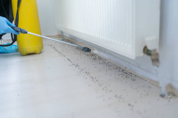 Best Local Pest Control Services  in Vineland, NJ