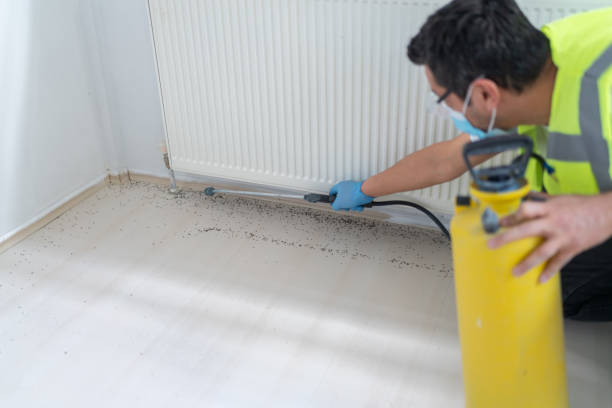 Best Local Pest Control Services  in Vineland, NJ