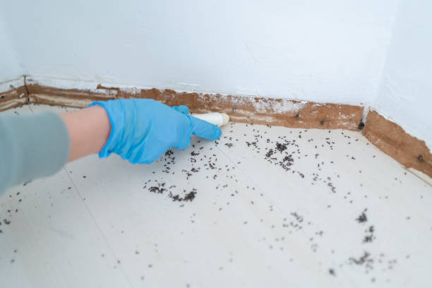 Best Wildlife Control Services  in Vineland, NJ