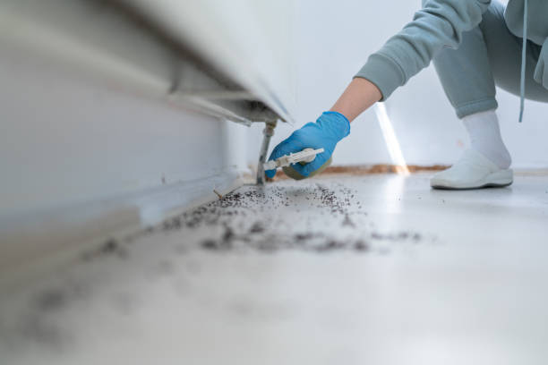 Best Exterminator Services  in Vineland, NJ